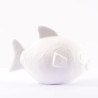 Styropor vis 7cm