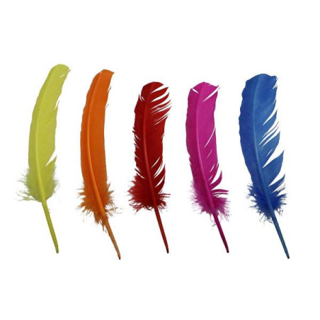 Indianenveren 28-30cm