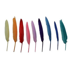 Indianenveren 15-20cm