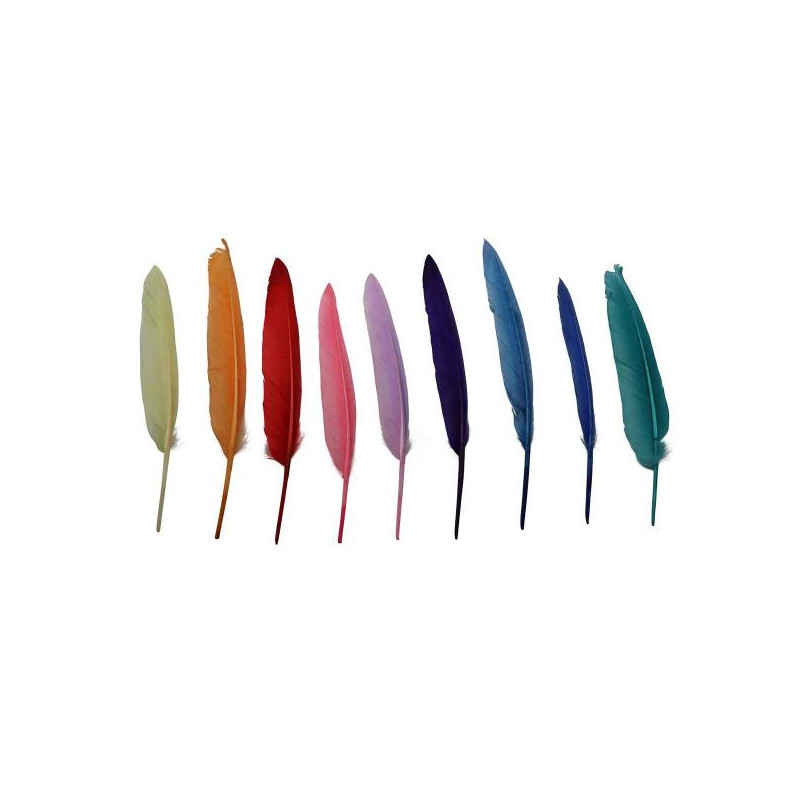 Indianenveren 15-20cm