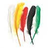 Indianenveren 16cm
