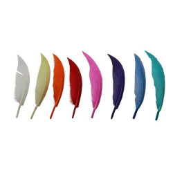 Indianenveren 13-16cm