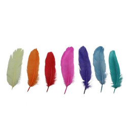 Indianenveren 13-15cm