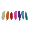 Indianenveren 13-15cm