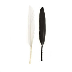 Indianenveren 13cm