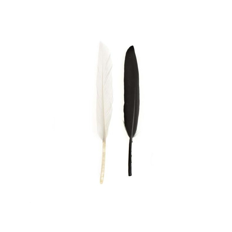 Indianenveren 13cm