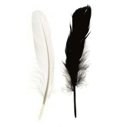 Indianenveren 16cm