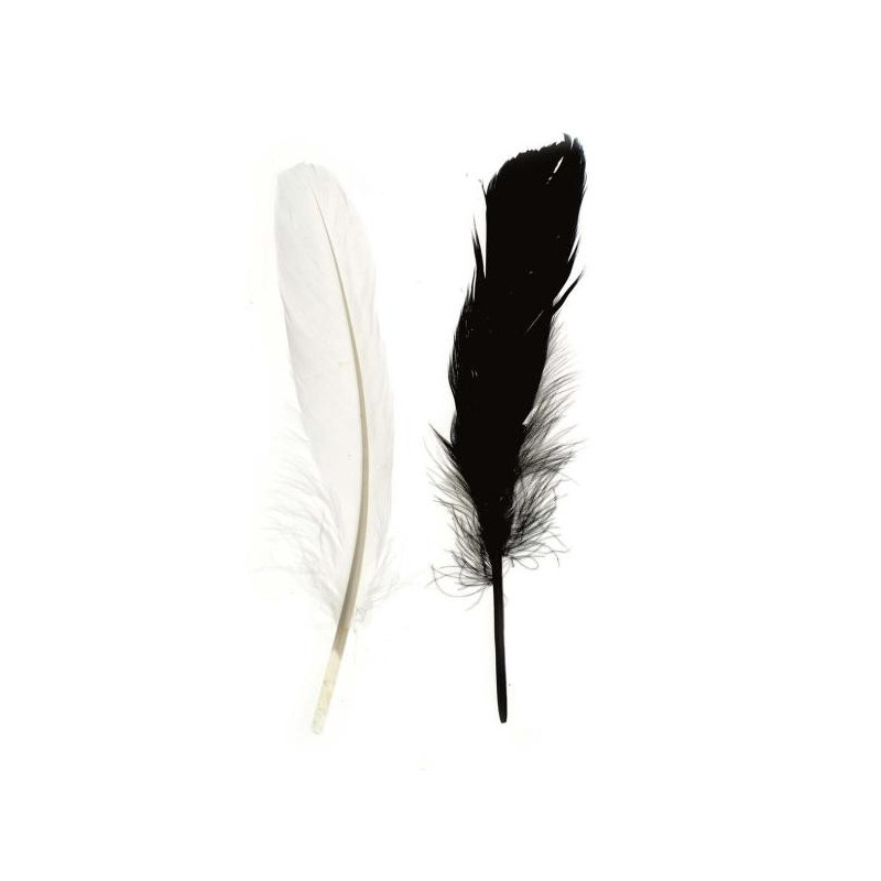 Indianenveren 16cm
