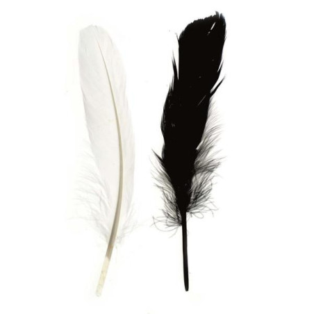 Indianenveren 16cm