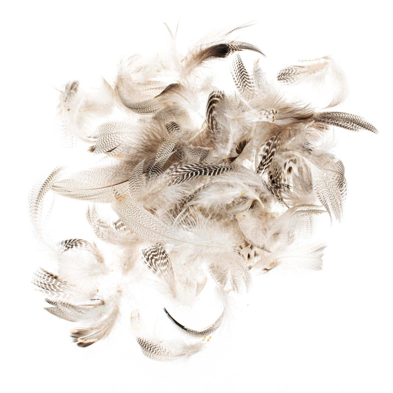 Hanenveren