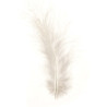 Marabu-veren wit