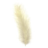 Marabu-veren creme