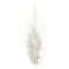 Deco veren wit