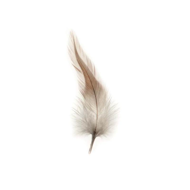 Deco veren bruin