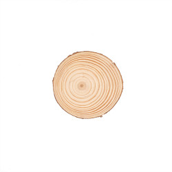 Boomschijf 10cm FSC®