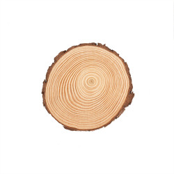 Boomschijf 15cm FSC®