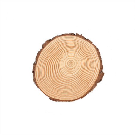 Boomschijf 15cm FSC®