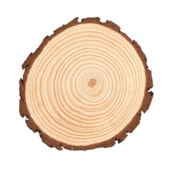 Boomschijf 20-22cm FSC®