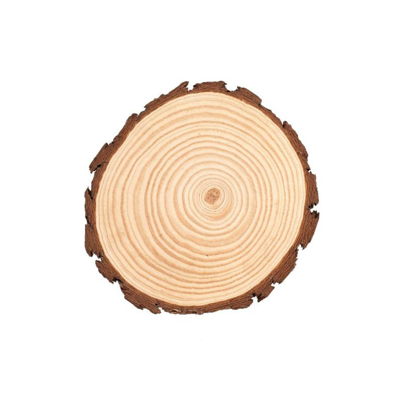 Boomschijf 20-22cm FSC®
