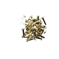 Splitpennen goudkleurige 19mm
