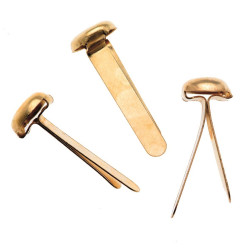 Splitpennen goudkleurige