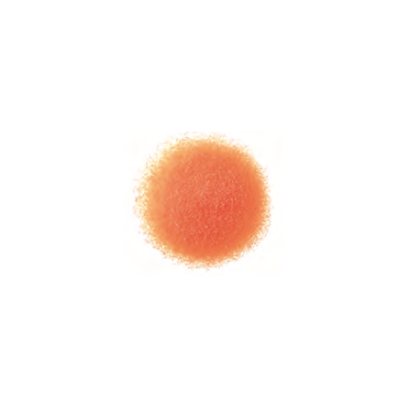 Kaarsenzand oranje met lont