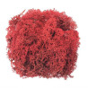IJslandsmos rood