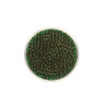 Rocailles transp. d.groen 2,6mm 17g