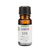 Geurolie sandelhout 10ml