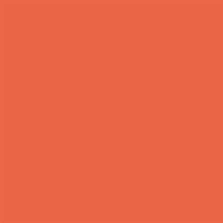 Bloemenzijde oranje