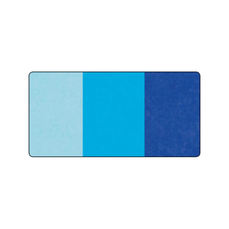 Bloemenzijde blauw assorti