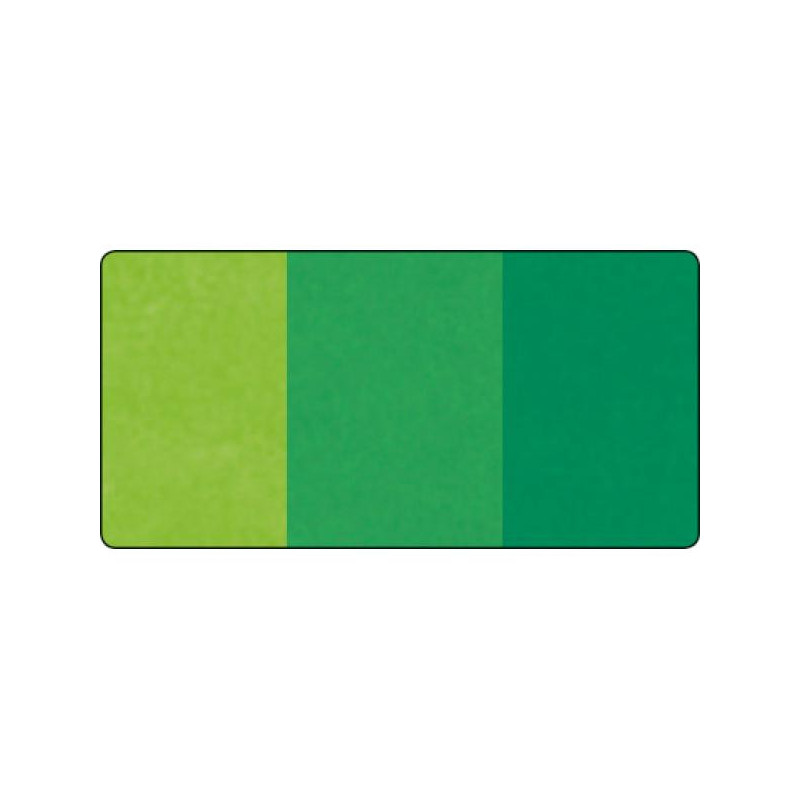 Bloemenzijde groen assorti