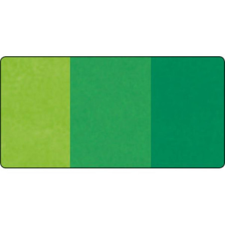 Bloemenzijde groen assorti