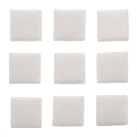 Mozaïek stenen 20x20mm wit