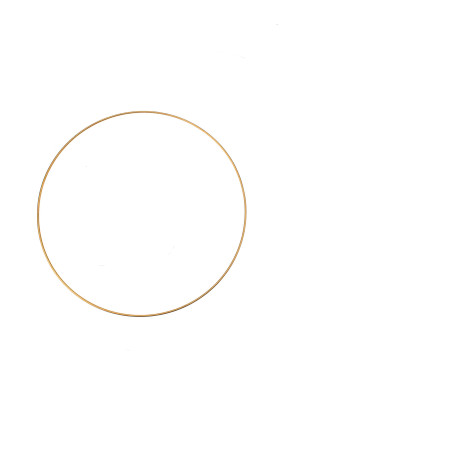 Metalen ring goud 30cm